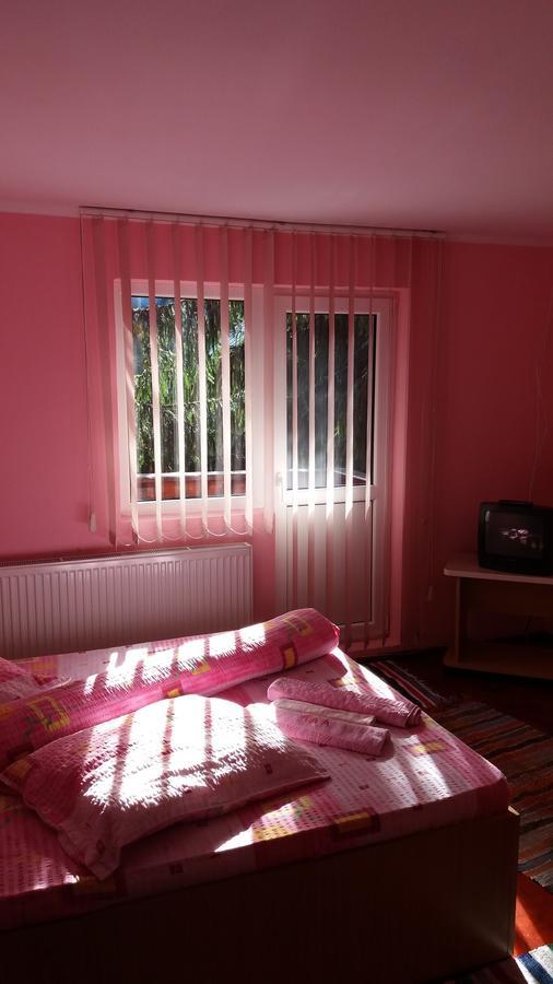 Hotel Casa Andreea-Maria Vartop Zewnętrze zdjęcie
